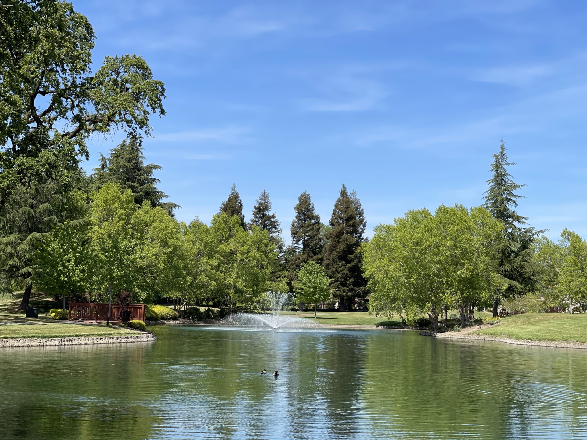 A body of water with trees around it.