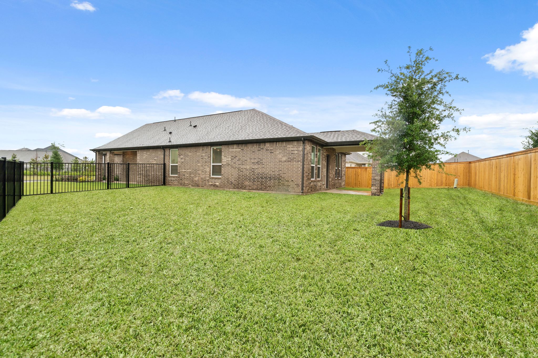 A large green lawn with a tree and a house in the background.