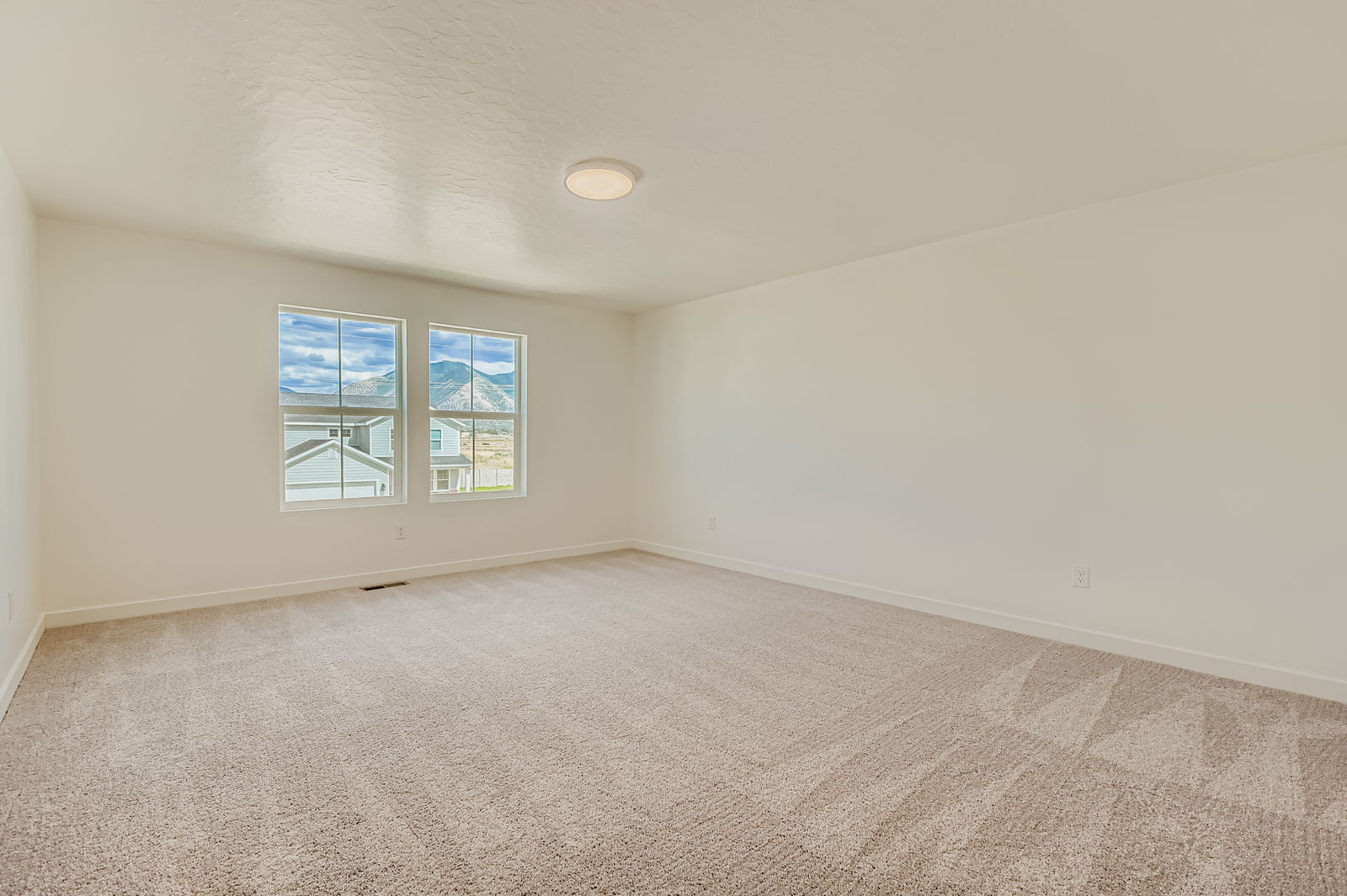 A room with a carpet and windows.